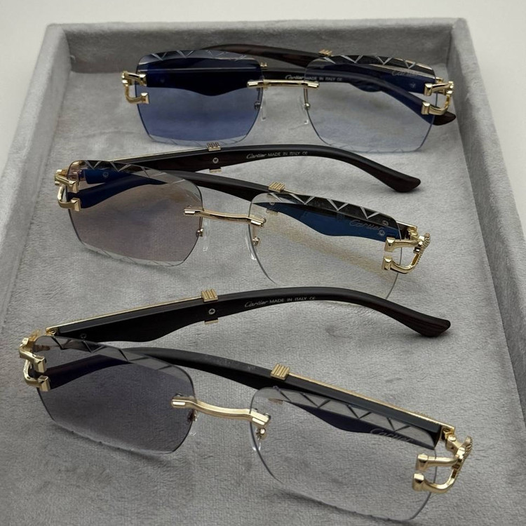 عینک کارتیر Cartier فتوکرومیک